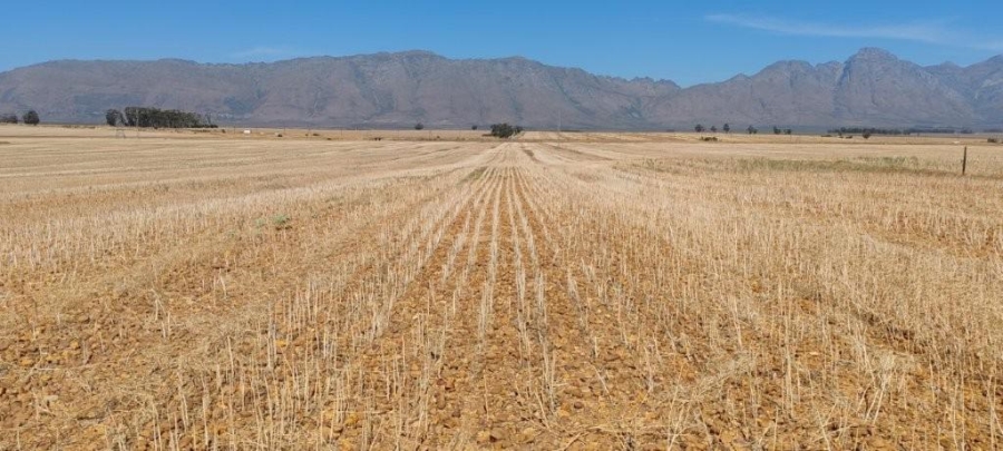 0 Bedroom Property for Sale in Hermon Western Cape